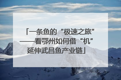 一条鱼的“极速之旅”——看鄂州如何借“机”延伸武昌鱼产业链