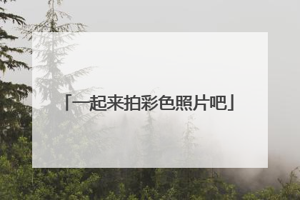 一起来拍彩色照片吧