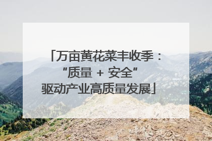 万亩黄花菜丰收季：“质量 + 安全” 驱动产业高质量发展