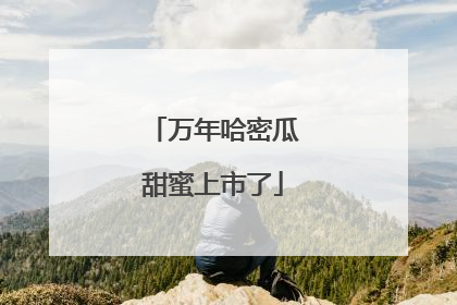 万年哈密瓜甜蜜上市了