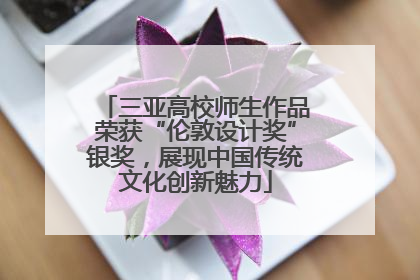 三亚高校师生作品荣获“伦敦设计奖”银奖，展现中国传统文化创新魅力