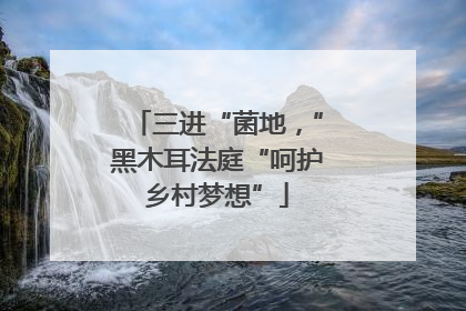 三进“菌地，”黑木耳法庭“呵护乡村梦想”