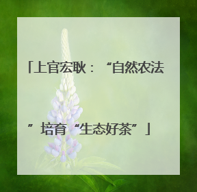 上官宏耿：“自然农法”培育“生态好茶”