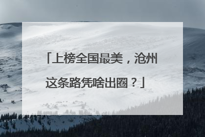 上榜全国最美，沧州这条路凭啥出圈？