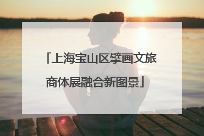 上海宝山区擘画文旅商体展融合新图景