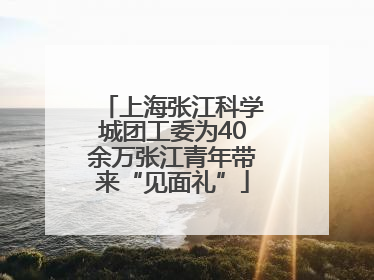 上海张江科学城团工委为40余万张江青年带来“见面礼”