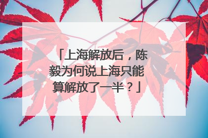 上海解放后，陈毅为何说上海只能算解放了一半？