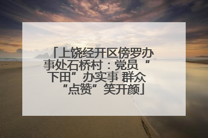 上饶经开区傍罗办事处石桥村：党员“下田”办实事 群众“点赞”笑开颜