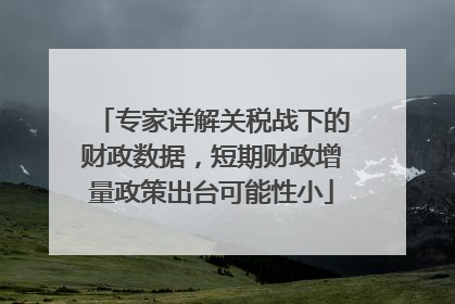 专家详解关税战下的财政数据，短期财政增量政策出台可能性小