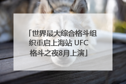 世界最大综合格斗组织重启上海站 UFC格斗之夜8月上演