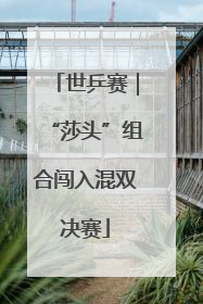 世乒赛｜“莎头”组合闯入混双决赛