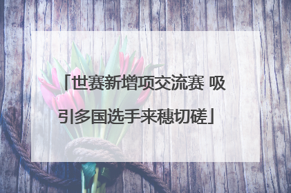 世赛新增项交流赛 吸引多国选手来穗切磋