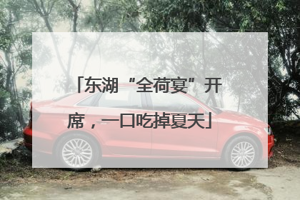 东湖“全荷宴”开席，一口吃掉夏天