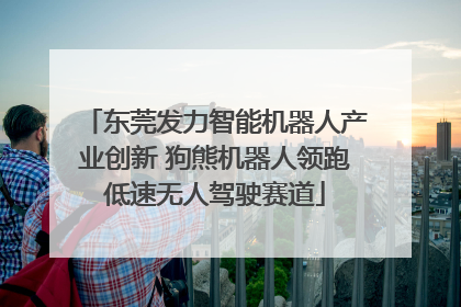 东莞发力智能机器人产业创新 狗熊机器人领跑低速无人驾驶赛道
