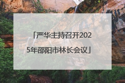 严华主持召开2025年邵阳市林长会议