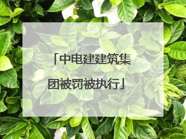 中电建建筑集团被罚被执行