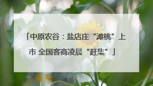 中原农谷：盐店庄“滩桃”上市 全国客商凌晨“赶集”
