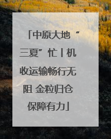 中原大地“三夏”忙丨机收运输畅行无阻 金粒归仓保障有力