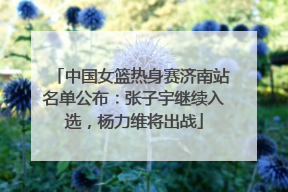 中国女篮热身赛济南站名单公布：张子宇继续入选，杨力维将出战