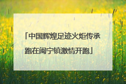 中国辉煌足迹火炬传承跑在闽宁镇激情开跑