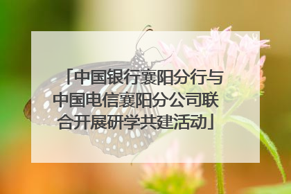 中国银行襄阳分行与中国电信襄阳分公司联合开展研学共建活动