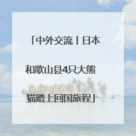 中外交流丨日本和歌山县4只大熊猫踏上回国旅程