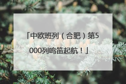 中欧班列（合肥）第5000列鸣笛起航！