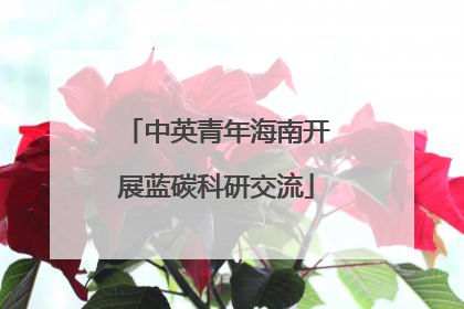 中英青年海南开展蓝碳科研交流