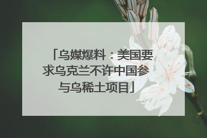 乌媒爆料：美国要求乌克兰不许中国参与乌稀土项目