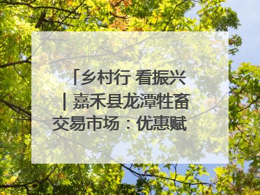 乡村行 看振兴｜嘉禾县龙潭牲畜交易市场：优惠赋能促交易 乡村振兴添动能