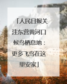 人民日报关注东营黄河口候鸟栖息地：更多飞鸟在这里安家