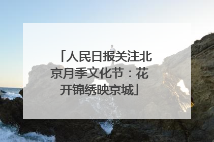 人民日报关注北京月季文化节：花开锦绣映京城