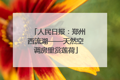 人民日报：郑州西流湖——天然空调房里赏莲荷