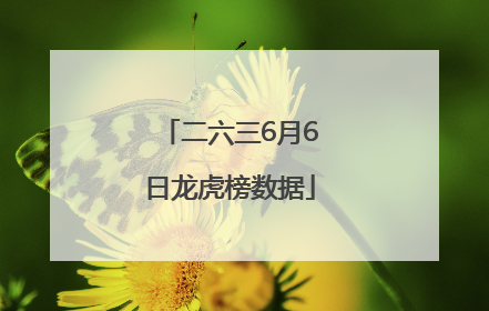 二六三6月6日龙虎榜数据