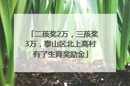 二孩奖2万，三孩奖3万，泰山区北上高村有了生育奖励金