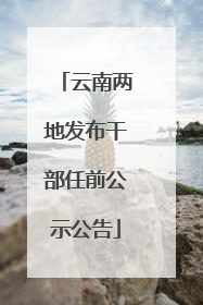 云南两地发布干部任前公示公告