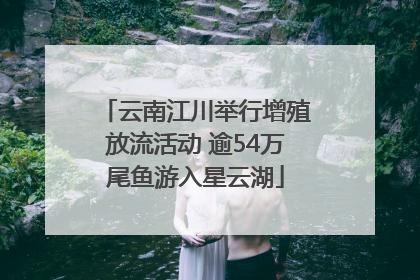 云南江川举行增殖放流活动 逾54万尾鱼游入星云湖