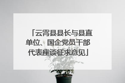云霄县县长与县直单位、国企党员干部代表座谈征求意见