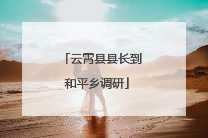 云霄县县长到和平乡调研