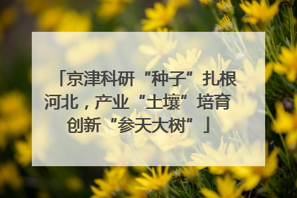 京津科研“种子”扎根河北，产业“土壤”培育创新“参天大树”