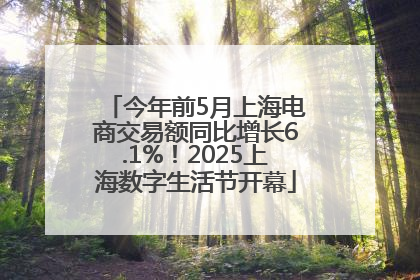今年前5月上海电商交易额同比增长6.1%！2025上海数字生活节开幕