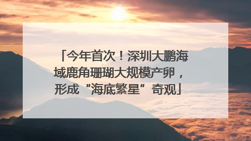 今年首次！深圳大鹏海域鹿角珊瑚大规模产卵，形成“海底繁星”奇观