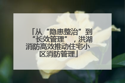 从“隐患整治”到“长效管理”，洪湖消防高效推动住宅小区消防管理