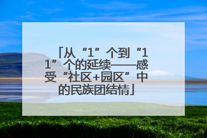 从“1”个到“11”个的延续——感受“社区+园区”中的民族团结情