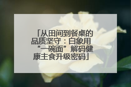 从田间到餐桌的品质坚守：白象用“一碗面”解码健康主食升级密码