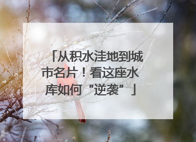从积水洼地到城市名片！看这座水库如何“逆袭”