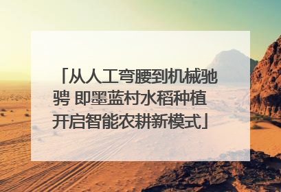 从人工弯腰到机械驰骋 即墨蓝村水稻种植开启智能农耕新模式
