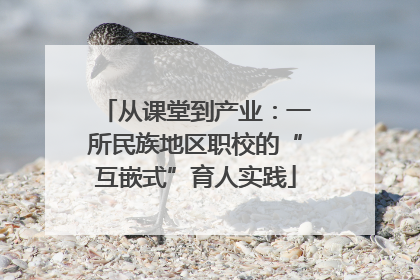 从课堂到产业：一所民族地区职校的“互嵌式”育人实践