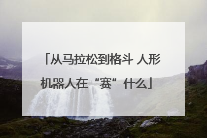 从马拉松到格斗 人形机器人在“赛”什么