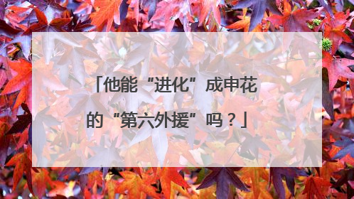 他能“进化”成申花的“第六外援”吗？